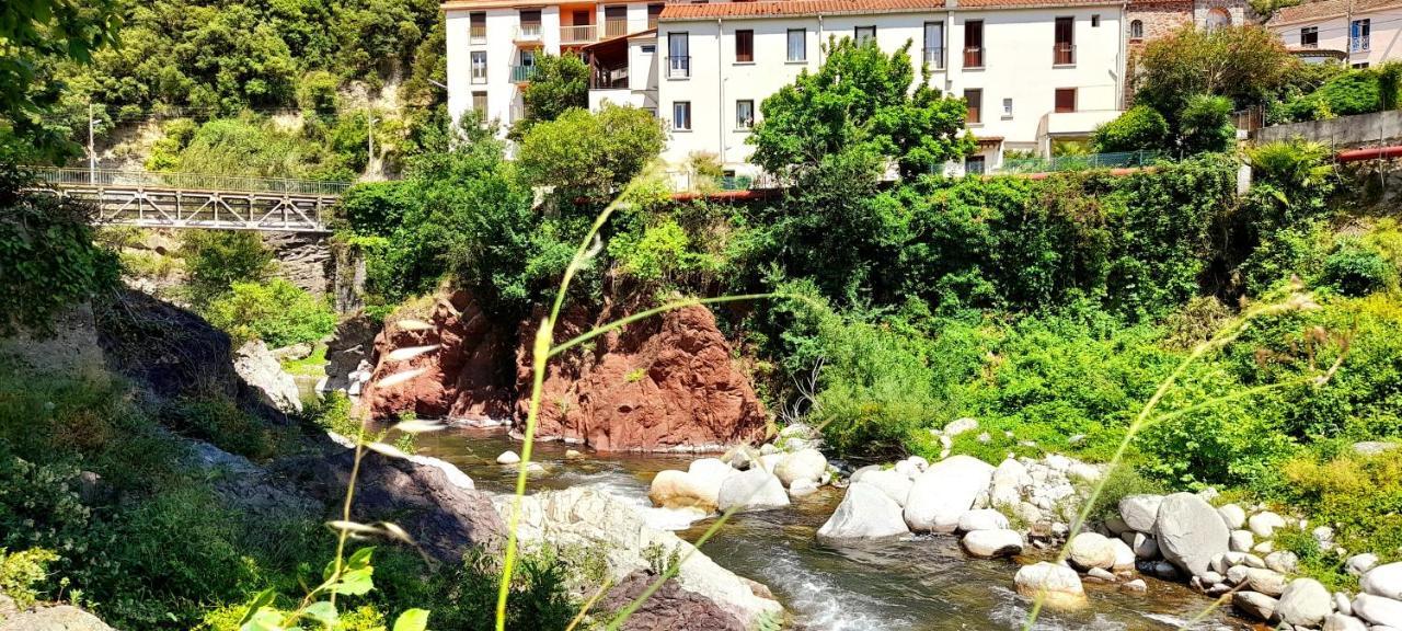 T2 Tout Confort Amelie-les-Bains-Palalda Ngoại thất bức ảnh